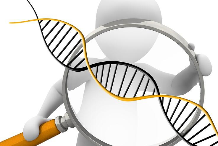 湖南省亲子鉴定哪里可以做,DNA鉴定出结果要多久